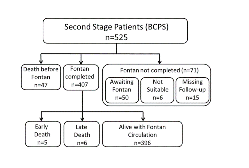 figure1 second stage patient