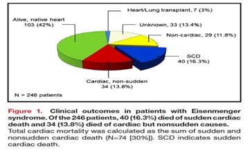 Clinical outcomes in patient with Eisenmenger syndrome.